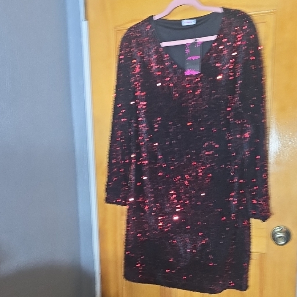 Sparkling Black and Red Sequin Dress box D